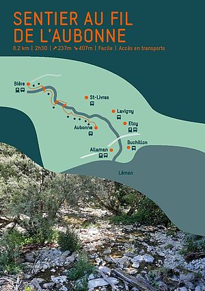 Arboretum à Aubonne