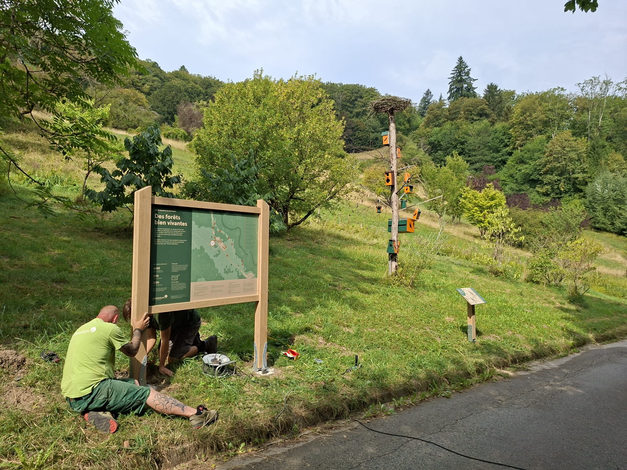 Sentier pédagogique "le secret du bois mort"